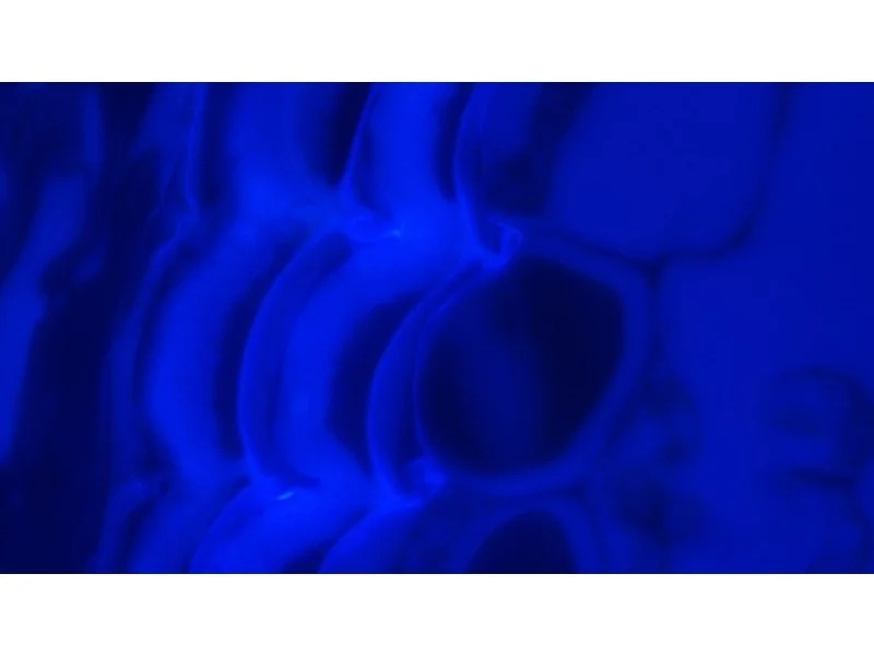 Thumbnail 27