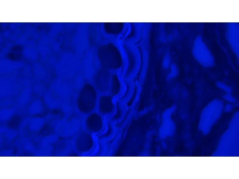 Thumbnail 22
