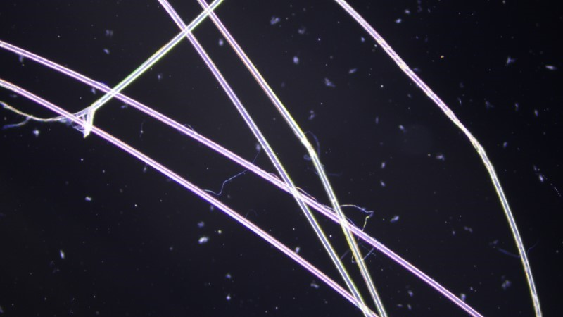 Thumbnail 14