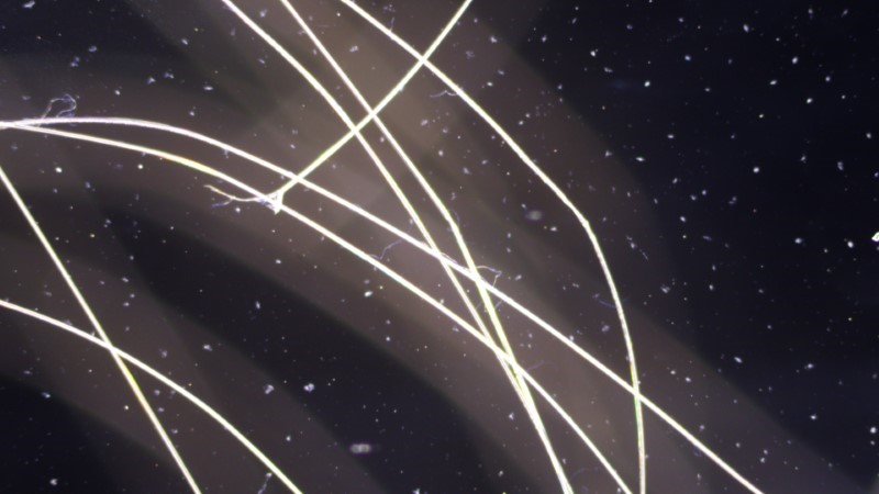 Thumbnail 13