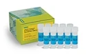 ddPCR™ Supermix for Residual DNA Quantification