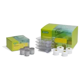 Celselect Slides Enumeration Direct Stain Kit 2.0