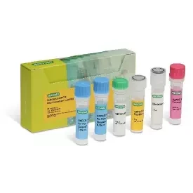 Vericheck ddPCR Replication Competent Lentivirus kit