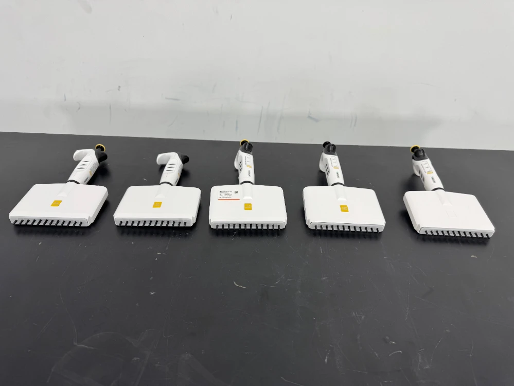 Integra Multichannel Pipettes - Quantity 5