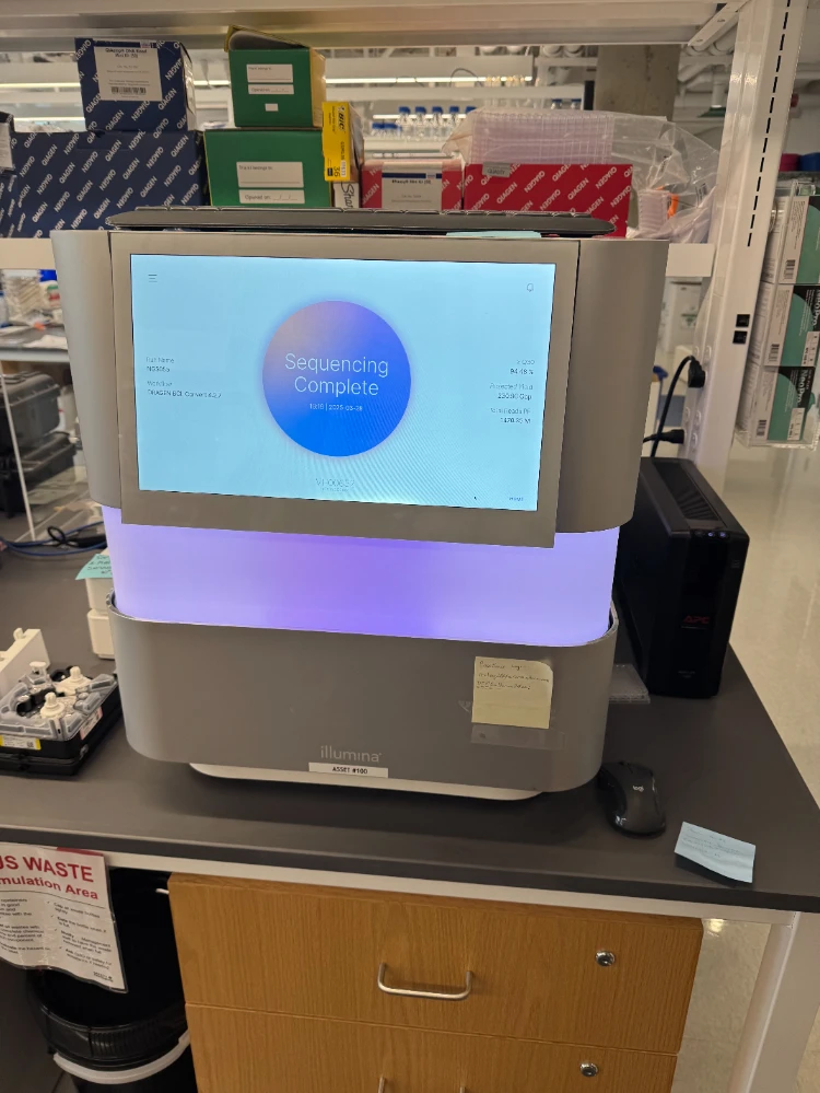 Illumina NextSeq 2000 Sequencing System
