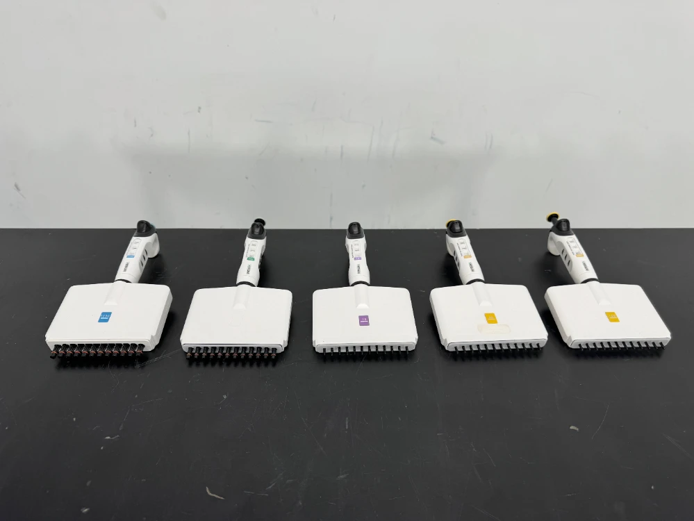 Integra Multichannel Pipettes - Quantity 5