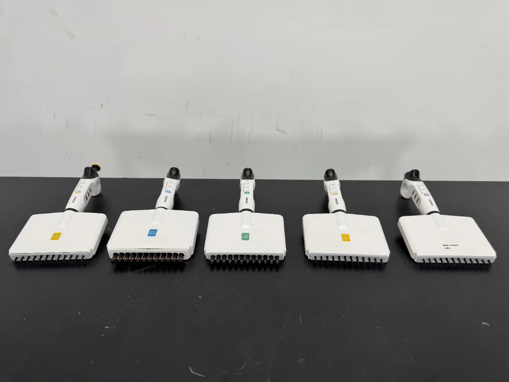 Integra Multichannel Pipettes - Quantity 5
