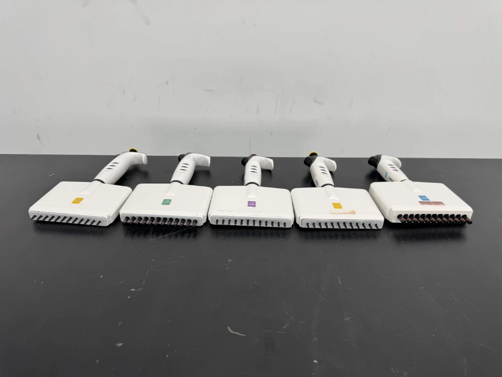 Integra Multichannel Pipettes - Quantity 5