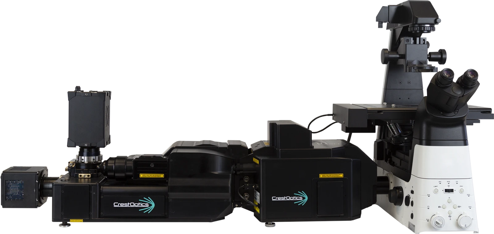 Crest Optics Deep SIM Super Resolution w/ X-light V3 Confocal Confocal.