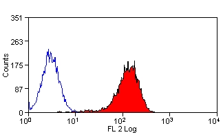Anti Mouse ABCA1 Antibody, clone 5A1-1422