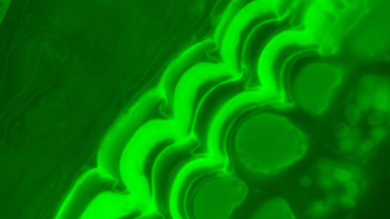 Thumbnail 13