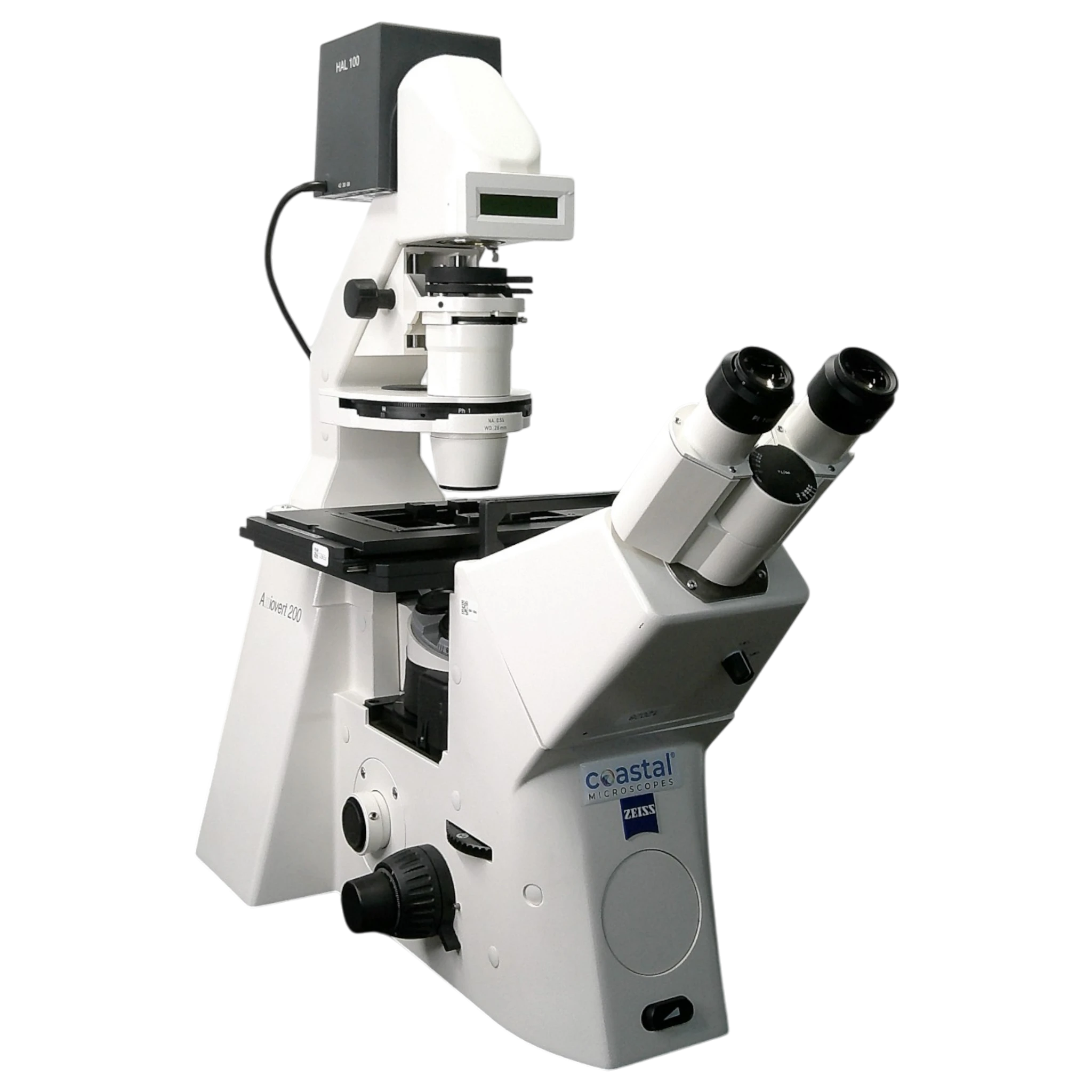 Zeiss Axiovert 200 Inverted Phase Contrast Fluorescence Microscope.