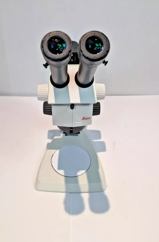 Leica M60 zoom stereo microscope with Leica Ergo Tubes