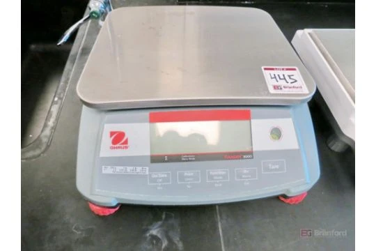 OHAUS RANGER 3000 R31P3 SCALE