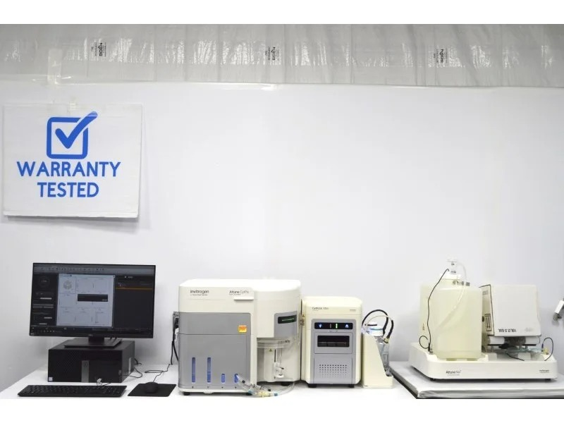 Main Image