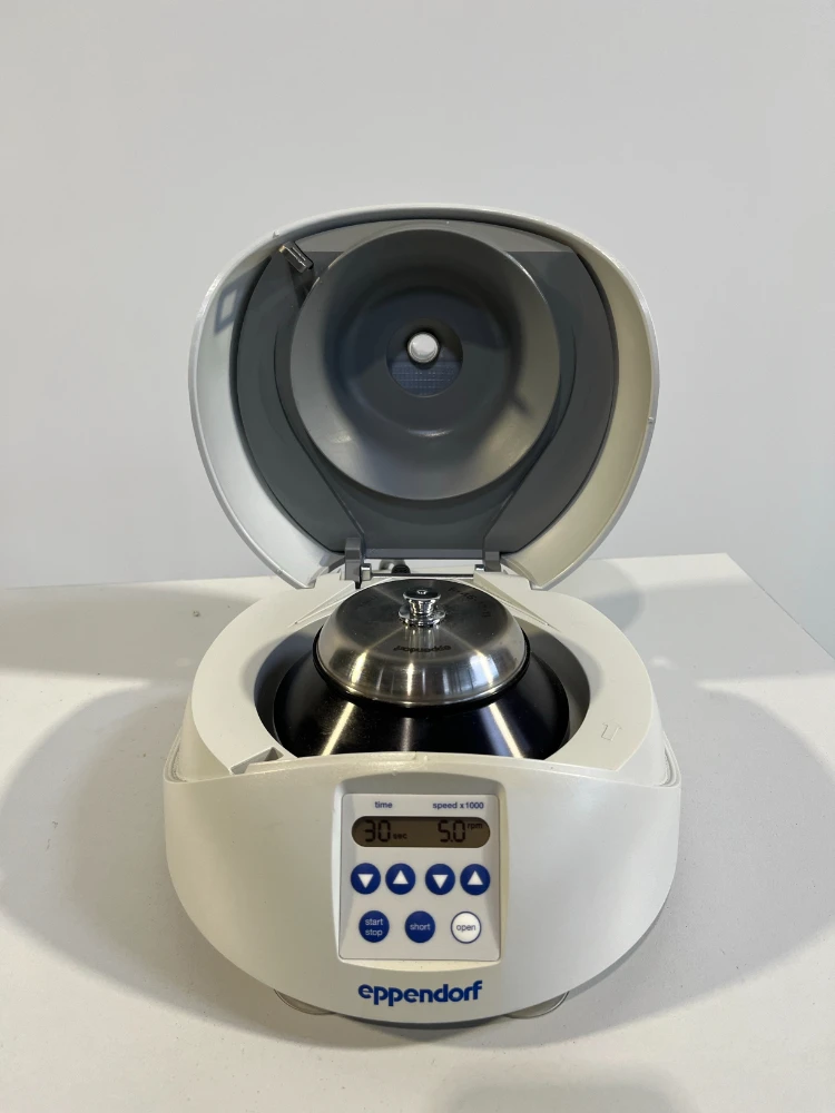 Main Image