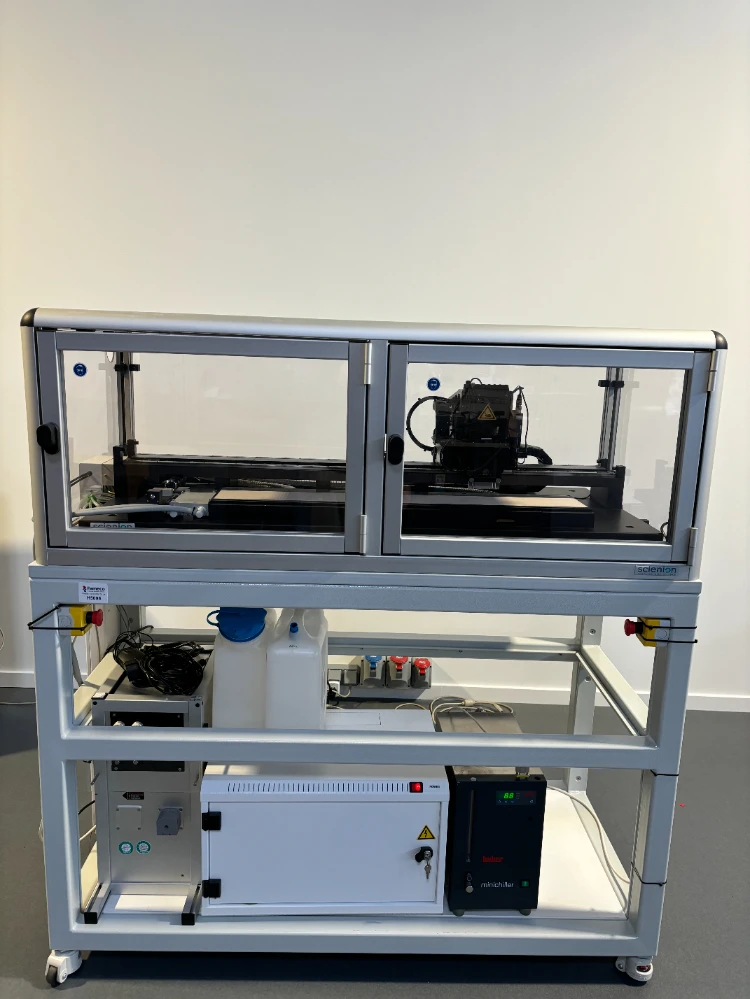 Main Image