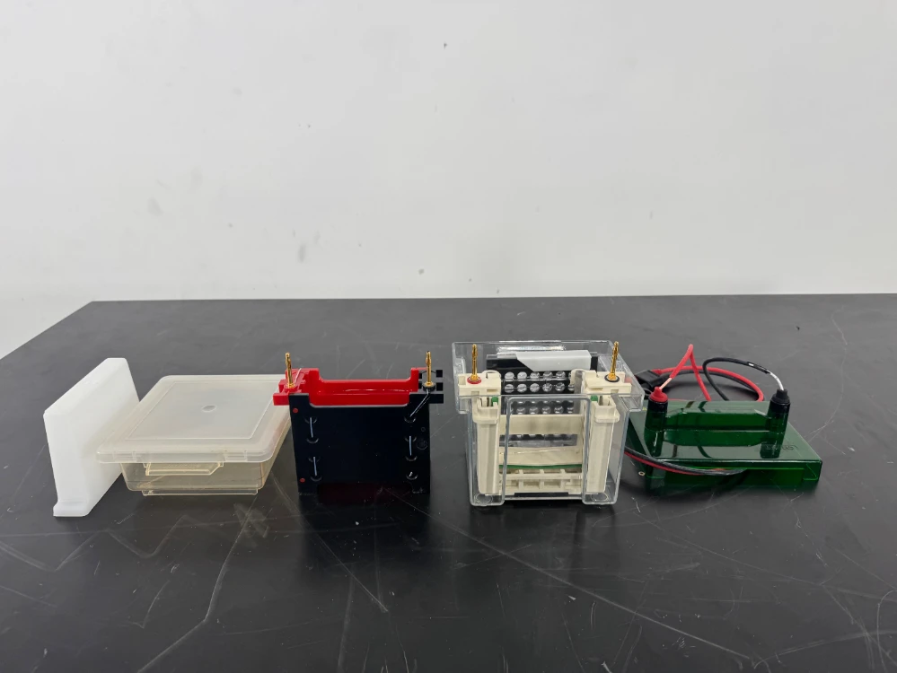 Bio-Rad Mini Protean 3 Cell