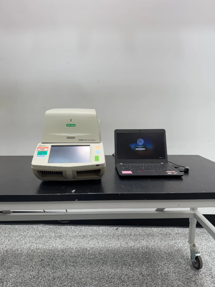 Bio-Rad C1000 Touch Thermal Cycler w/ CFX96 Real-Time Optics Module