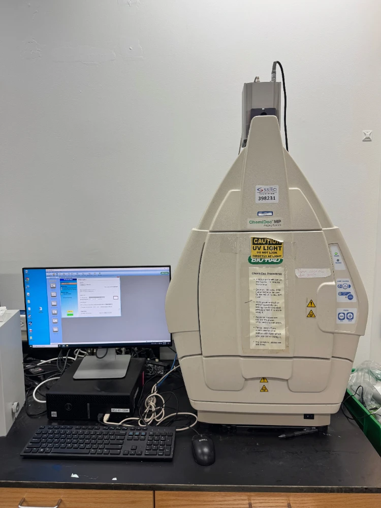 Bio-Rad ChemiDoc MP Imager