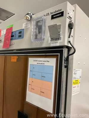 Lot 364 Listing# 1014586 Thermo Scientific 3950 Reach in Co2 Incubator