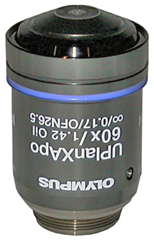 Olympus X-Line UPLANXAPO 60X Objective - UPLXAPO60XO