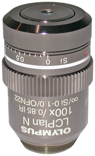 Main Image