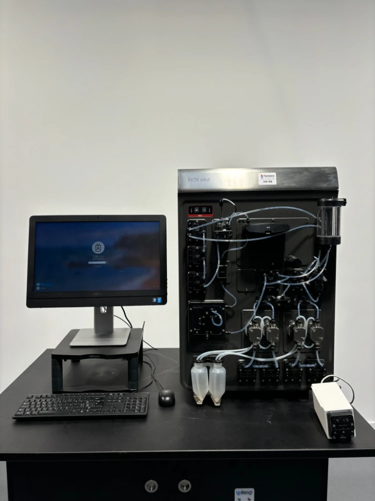 Main Image