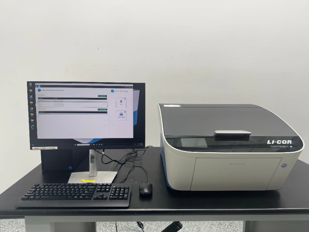 Li-Cor Odyssey M Imager