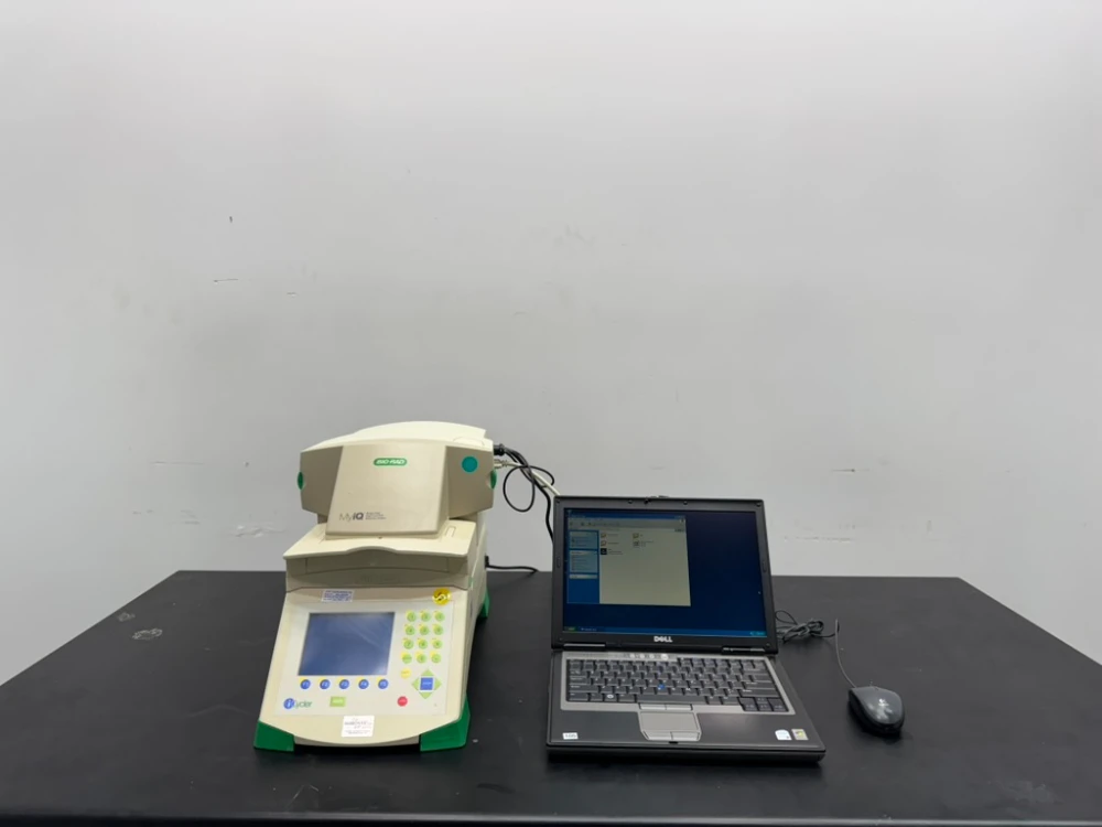 Bio-Rad iCycler Thermal Cycler