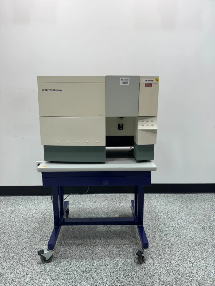 BD FACSCalibur Flow Cytometer