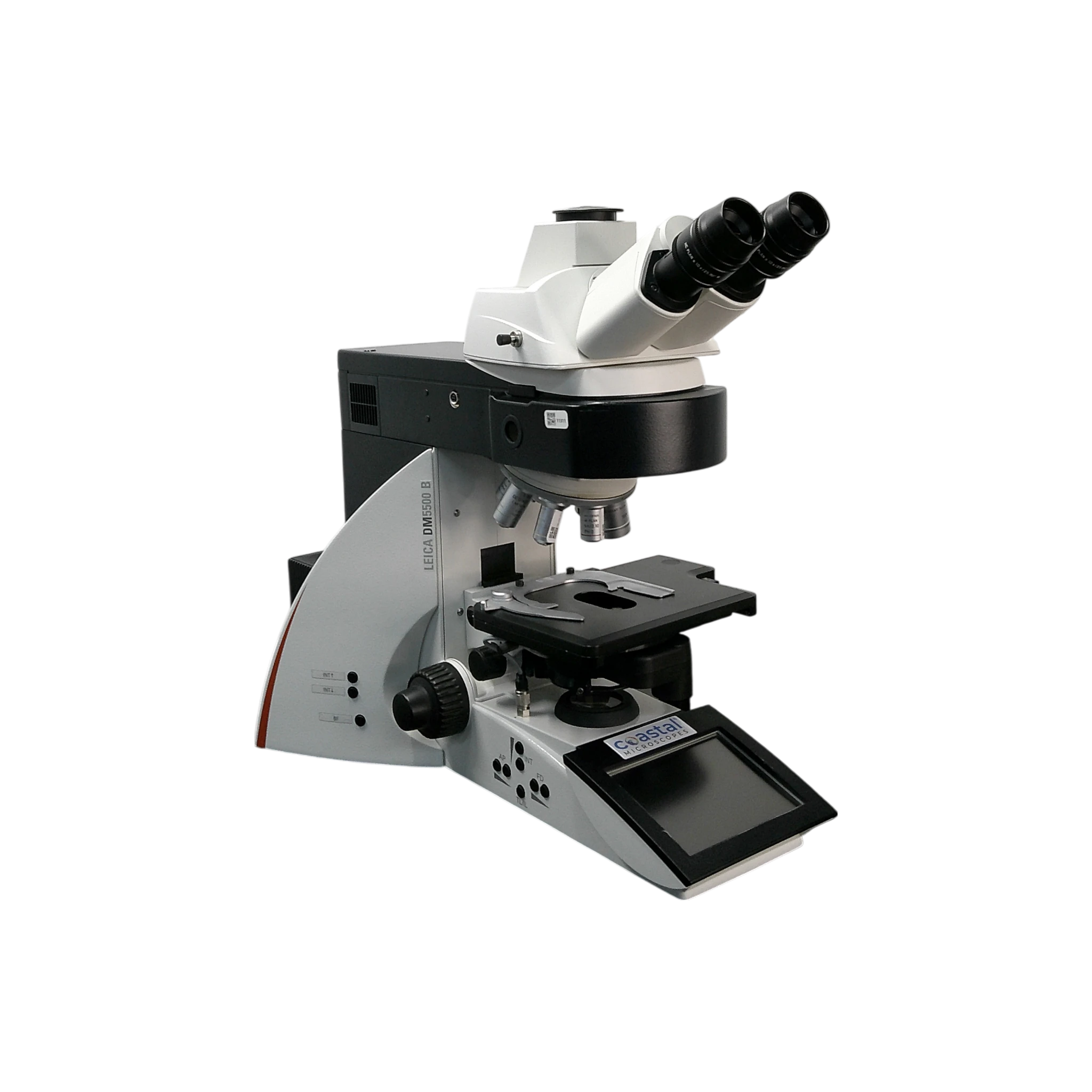 Main Image