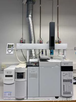 Agilent Technologies 7890A Gas Chromatograph and Agilent 5975C MSD with Triple Axis Detector
