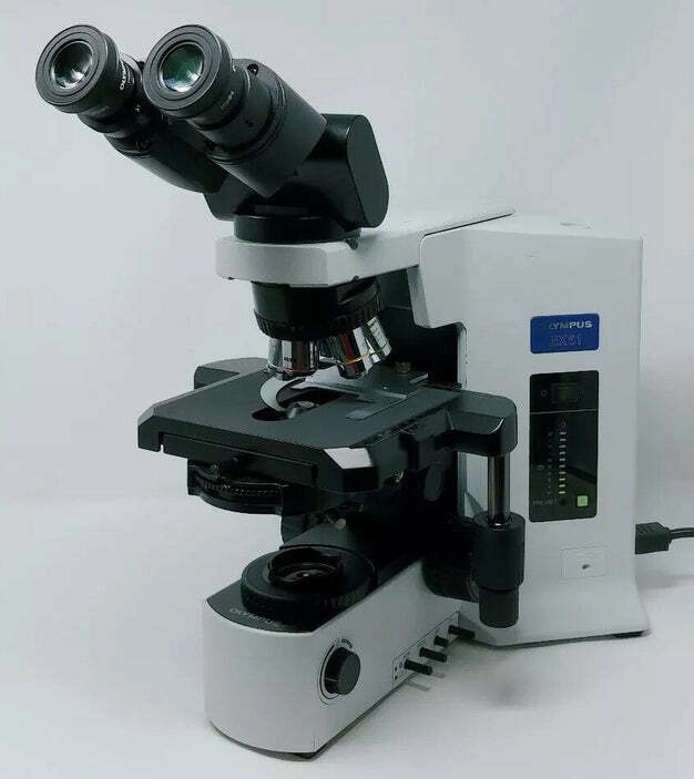 Olympus Microscope BX51 with Phase Contrast and Ti