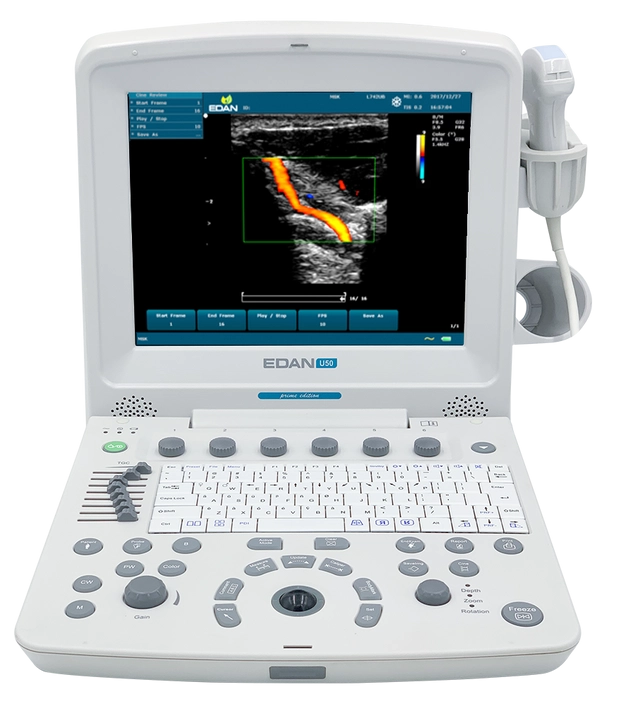 Main Image