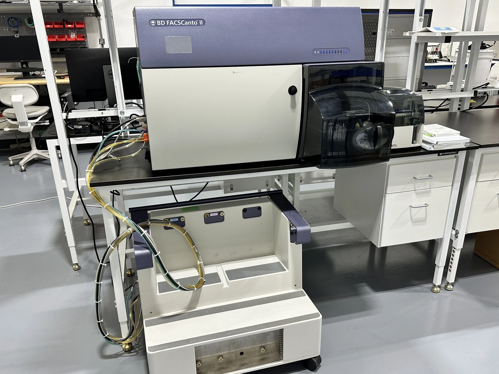 Main Image