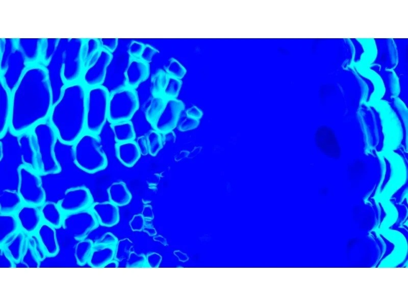 Thumbnail 14