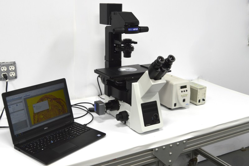 Microscope Ix73 Olympus IX73 Fluorescence Inverted Microscope (New Filters) | LabX.com