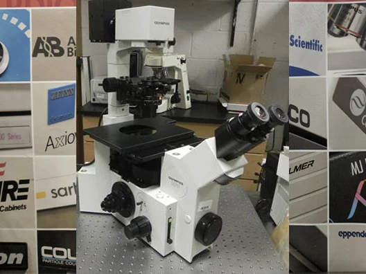 Olympus IX70 Inverted Phase Contrast Microscope
