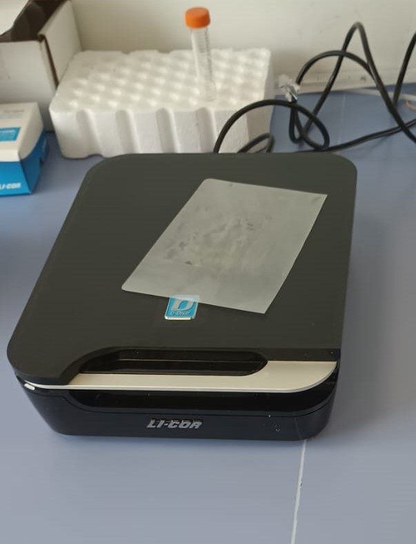 LI-COR C-DiGit Chemiluminescent Western Blot Scanner