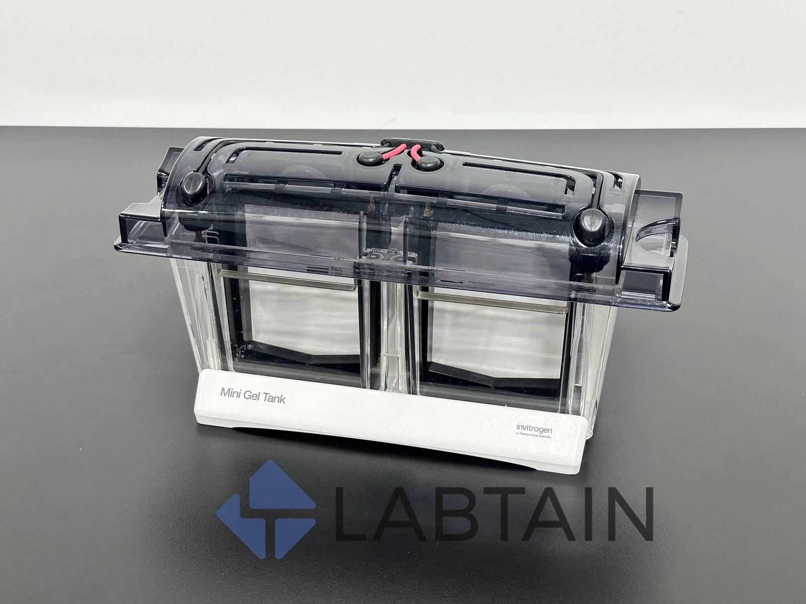 Invitrogen Mini Gel Tank A25977 - Electrophoresis 