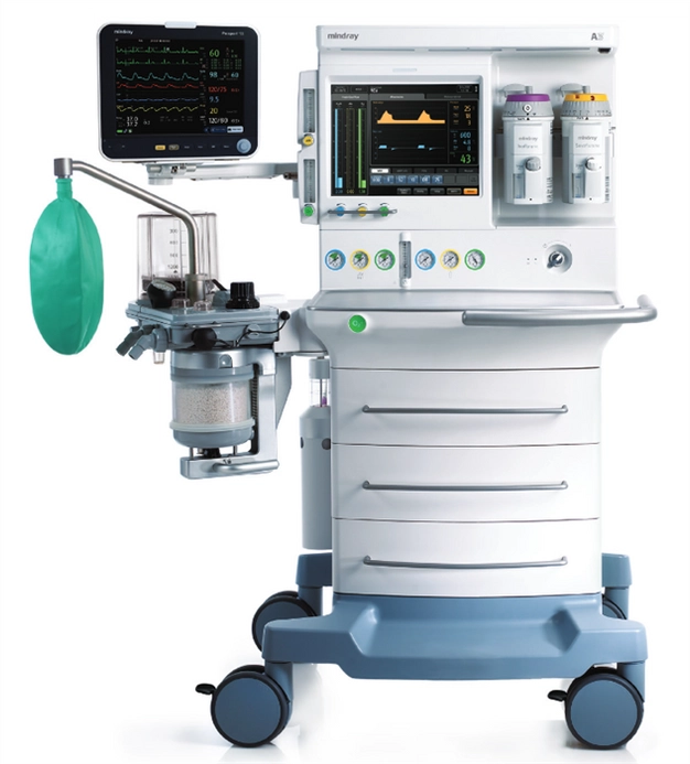 Main Image