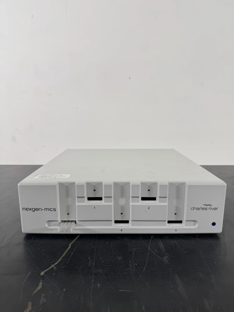 Main Image