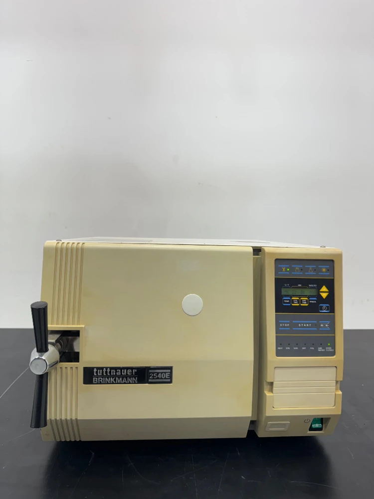 Main Image