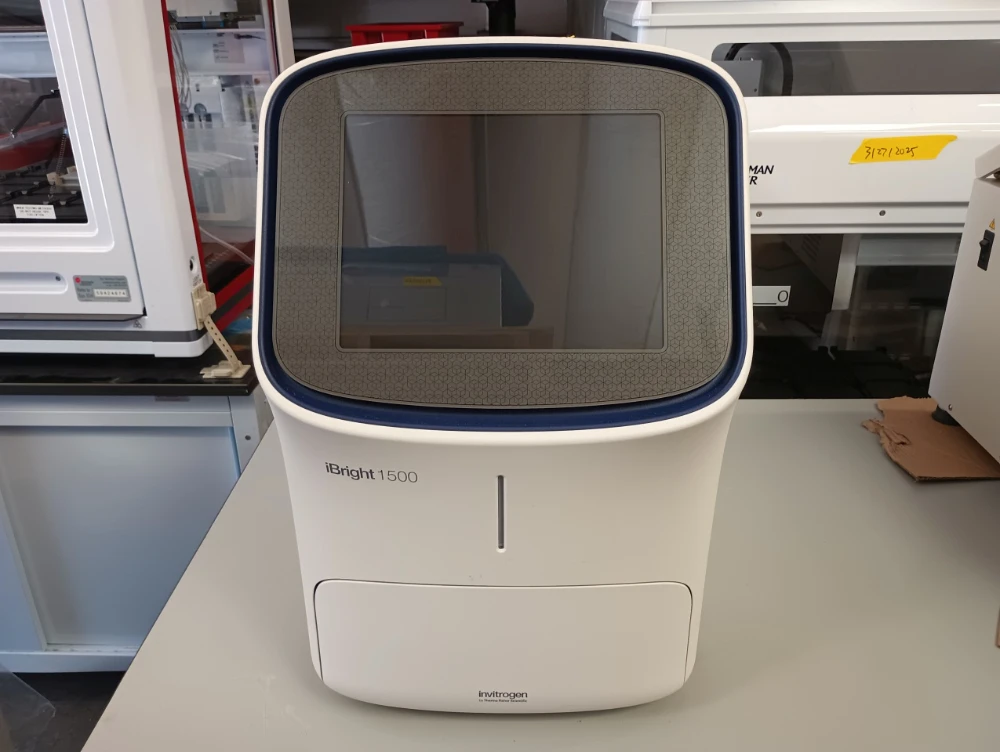 Thermo Invitrogen iBright CL1500