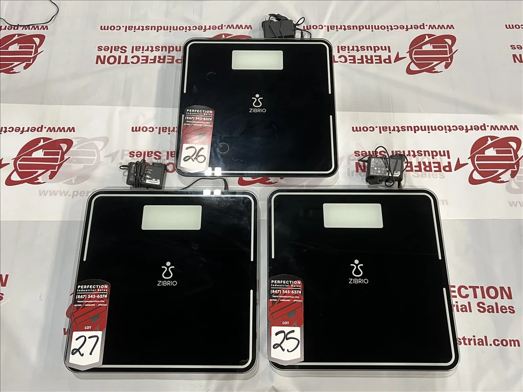 Zibrio Stability Pro Balance Measurement Scale