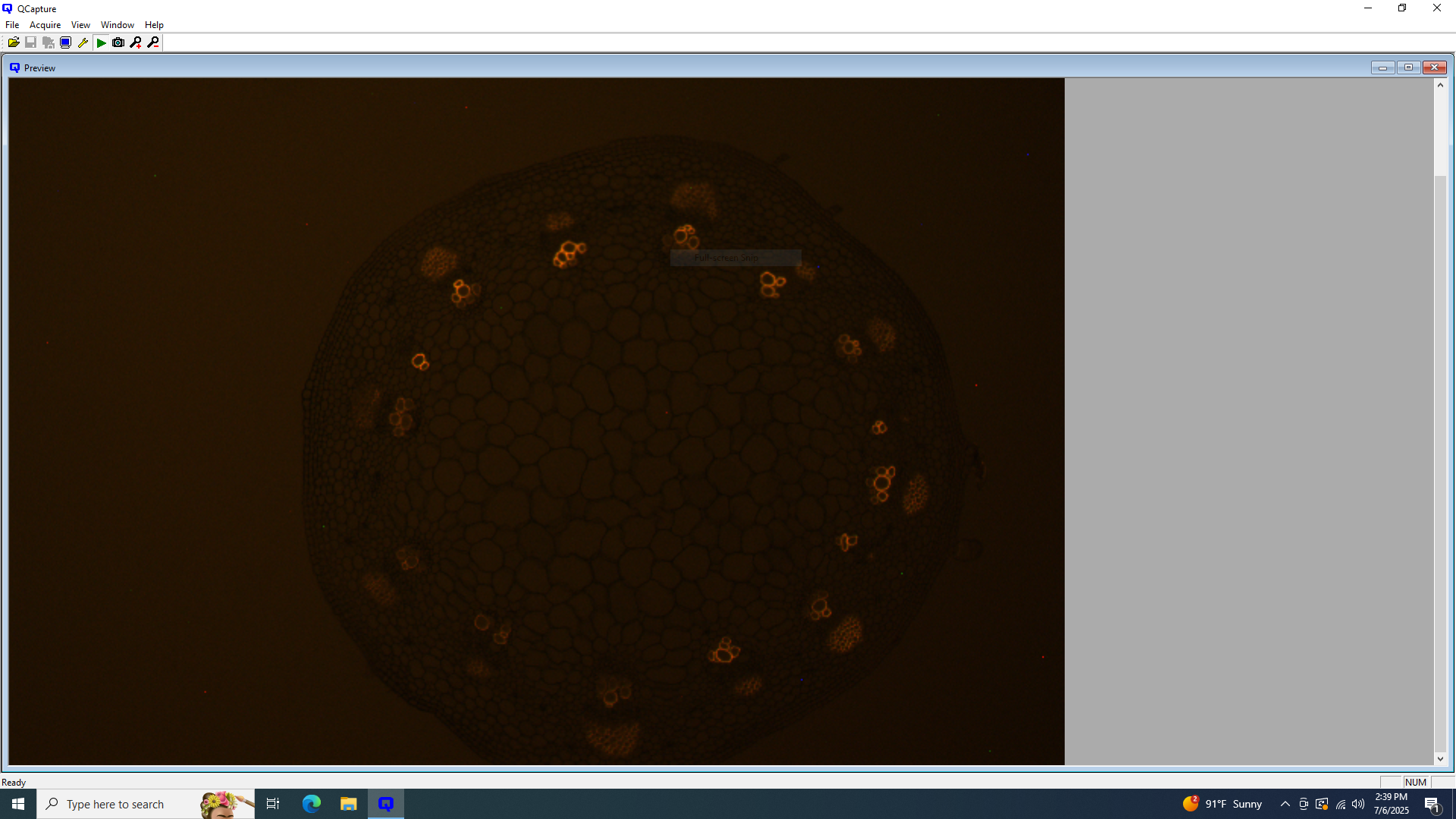 Thumbnail 41