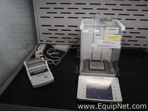 Mettler Toledo XPE205 Delta Range Balance with P25 Printer