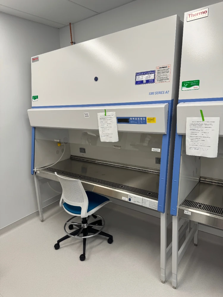 Thermo 1300 Series A2 6' BioSafety Cabinet