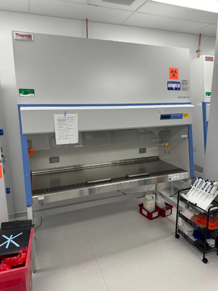 Thermo 1300 Series A2 6' BioSafety Cabinet